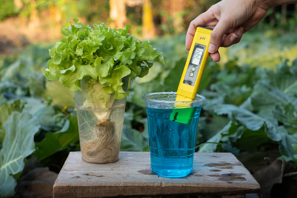 Measure liquid fertilizer in a cup with digital PH meter neutral
